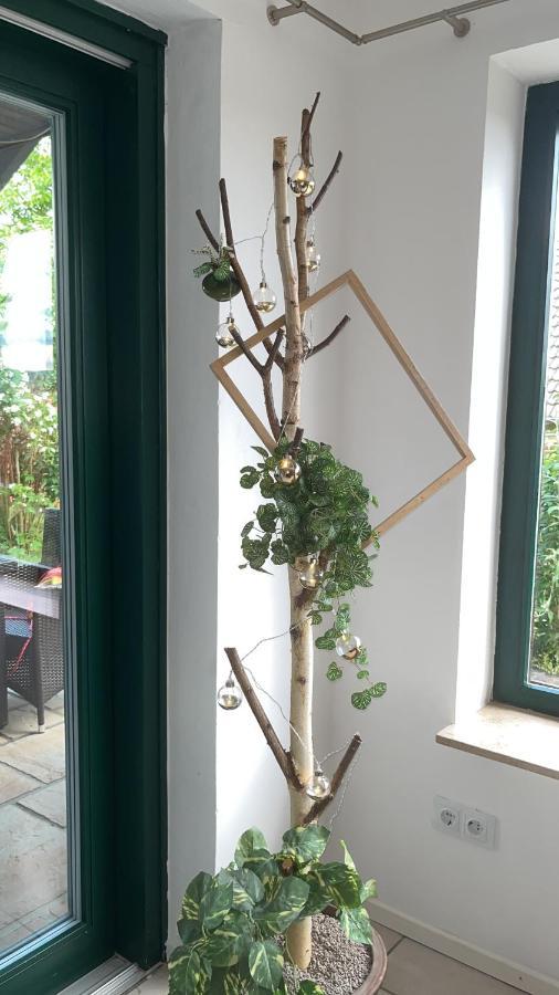 Ferienwohnung Spitzenbergblick Reichensachsen Exterior foto